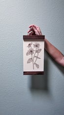 Image 5 of Olearia pannosa Linocut Print