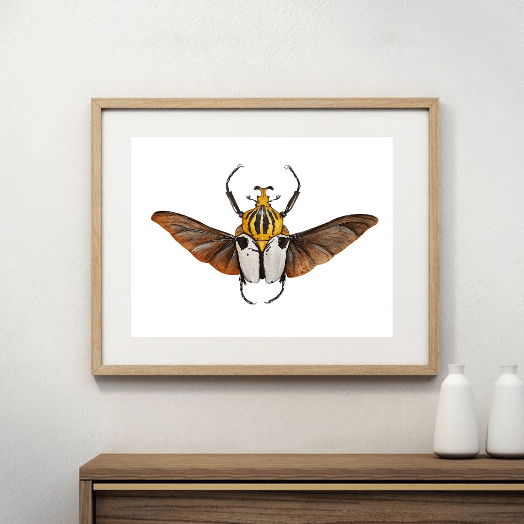 Image of Goliathus cacicus Watercolor Illustration PRINT 