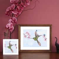Image 2 of Print of a Racket tail Hummingbird with free Art Card