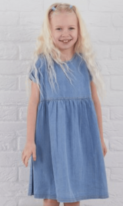 Image of Mole's Ice Cream Shack - Denim Dress 
