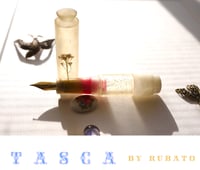 White  lights / TASCA / Demonstrator / Rubato’s pocket fountain pen