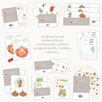 Image 4 of CICLE VIDA TOMÀQUET / CICLO VIDA TOMATE