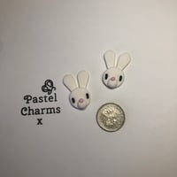 Mini bunny’s 