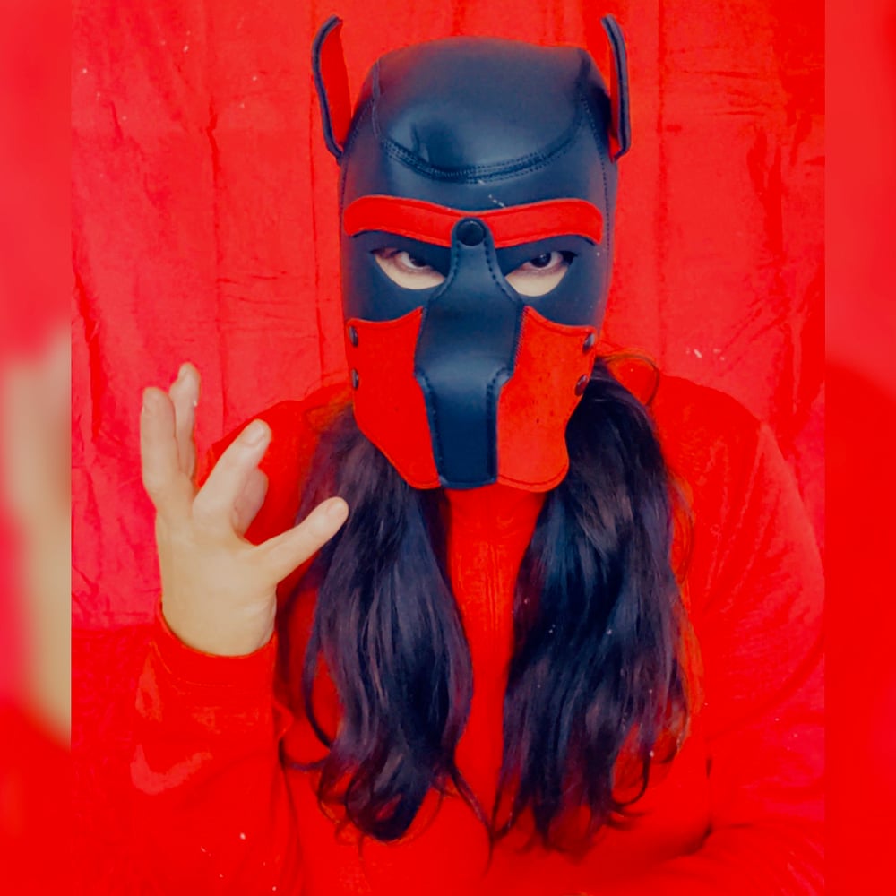 Worn Red & Black Dog Cosplay Mask + Free Signed 8X10