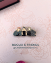 BOOLIX & FRIENDS
