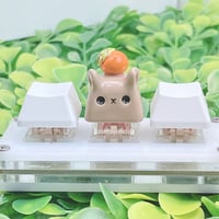 Image 4 of capybara with orange ceramic keycap 