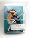 Notecard of View From the Treetops - a blackburnian warbler card