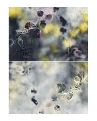 Botanical Minds, In Our Nature ( Diptych)