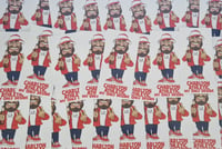 Image 1 of Pack of 25 10x5cm Charlton My Only Desire Football/Ultras Stickers.