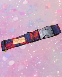 Image 1 of Custom | 25mm Dog Collar