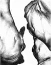 "Caverness" Print by Kara Theart