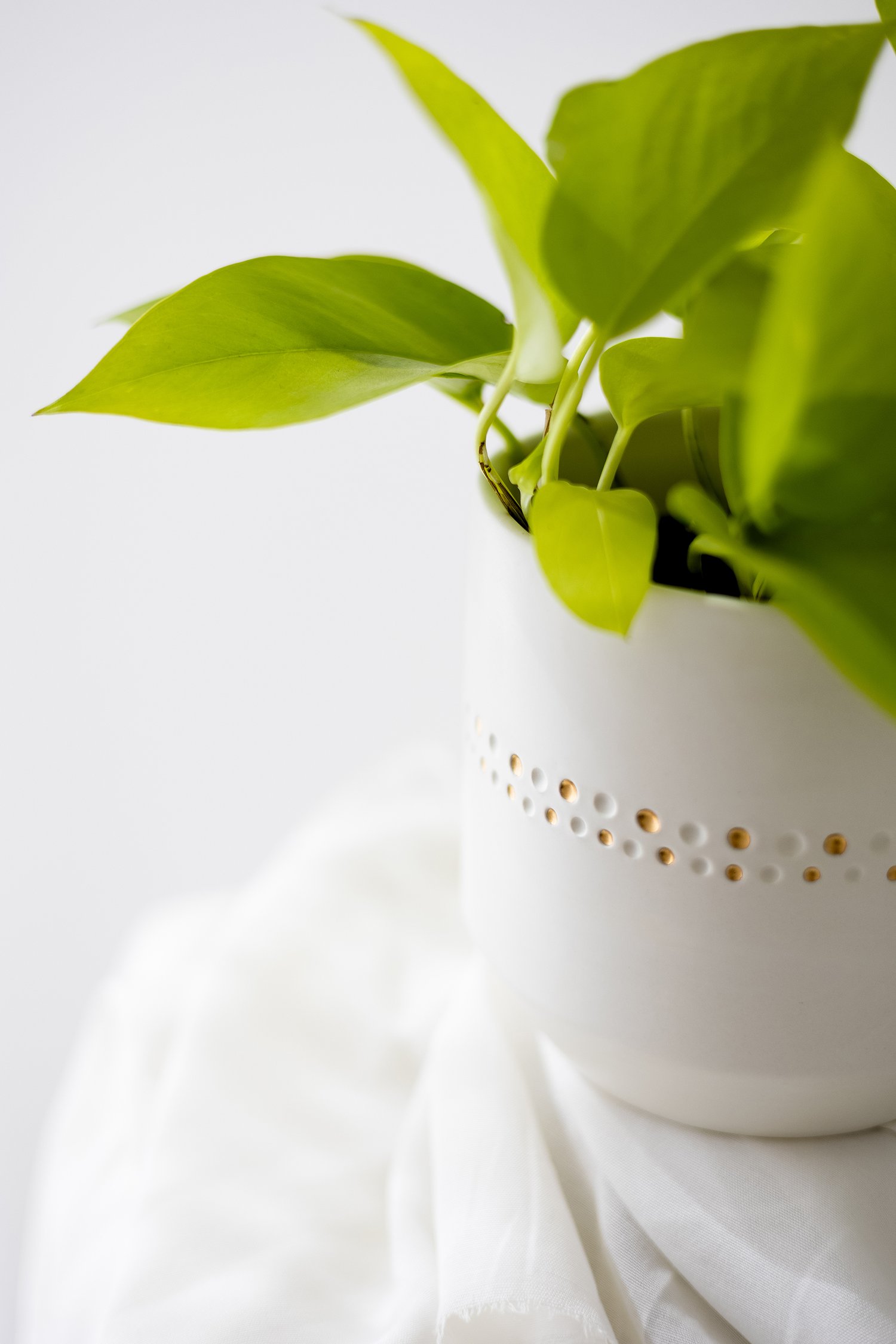 Image of NECKLACE Plant VASE