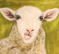 Woolly Sheep