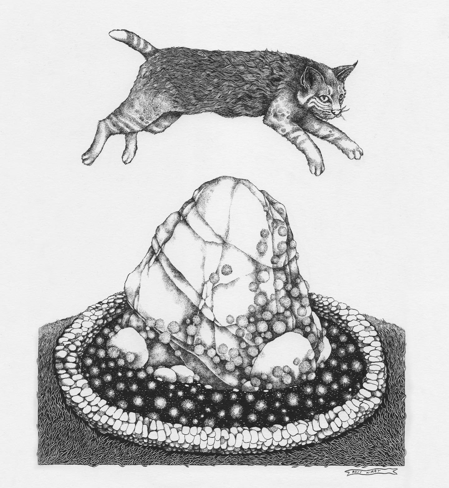 Image of The Wildcat Rock