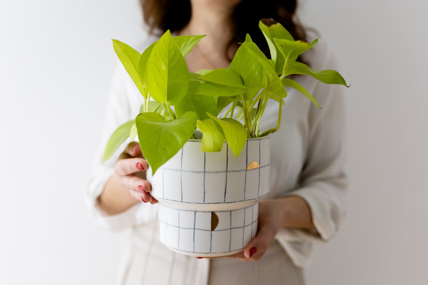 Image of Squares Plant Vase