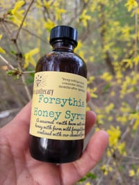 Image of FRESH SINGLE BATCH  Forsythia + Honey Syrup 