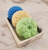 TROPICAL TRIO HAND SOAP