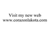 VISIT NEW WEB