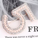 Pink N°5 Fashion Brooch 