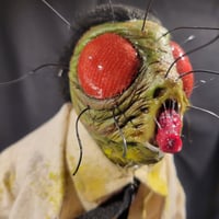 Image 3 of The Fly!