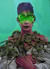 Image 1 of ARALIA