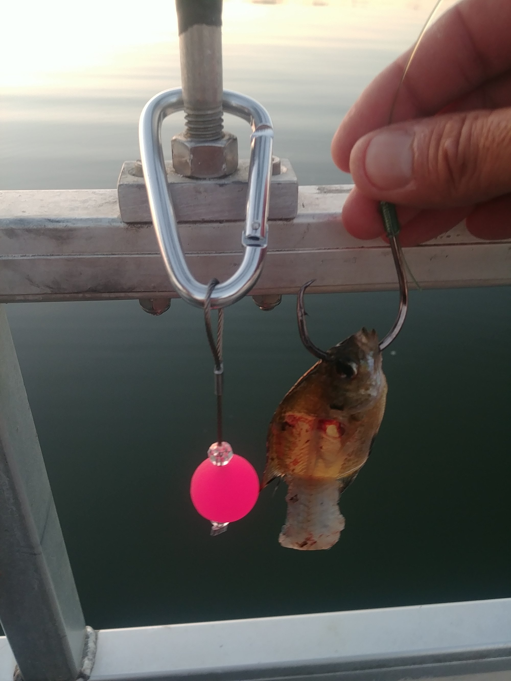 Cat catcher 10/0 hooks