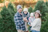 Christmas Tree Mini Session - Collection 2