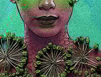 Image 2 of ARALIA