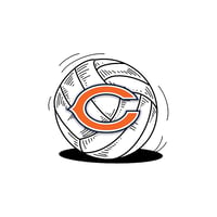 Image 1 of NFL - Volleyball Logos