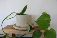 Image 1 of plant pot & attached saucer