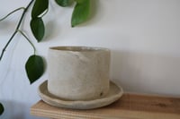 Image 2 of plant pot & attached saucer