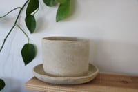 Image 3 of plant pot & attached saucer