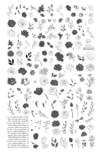 Image 3 of Flora (CjSLC-87) Steel Nail Art Stamping Plate