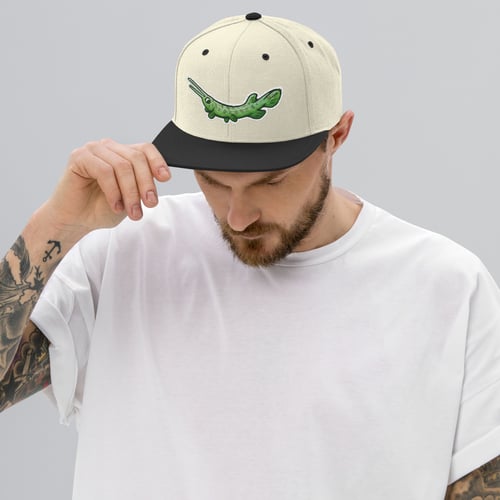 Image of Garth Snapback Hat