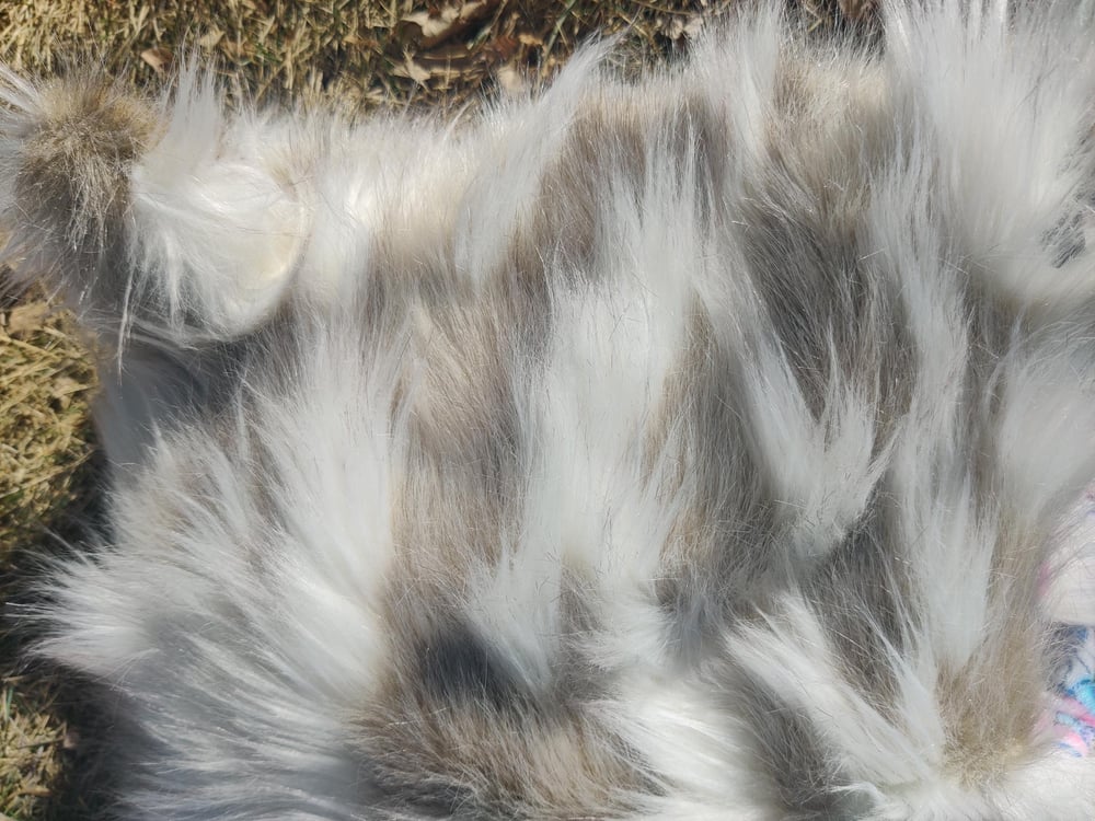 Image of Tibetan Sand Fox Bolli Bear