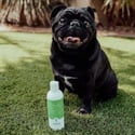 Natural Pet Shampoo by Young Living