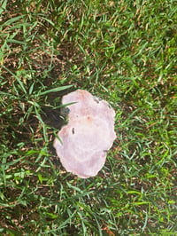 Image 2 of Pink Amethyst #4