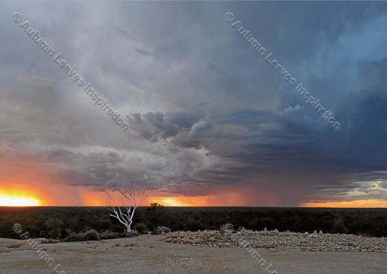 Image of T54 Stormy Sunset over Lightning Ridge Opal Fields - NEW!
