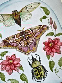 Image 3 of March Dome ORIGINAL ARTWORK