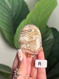 Image 1 of MEXICAN LACE AGATE PALM STONES
