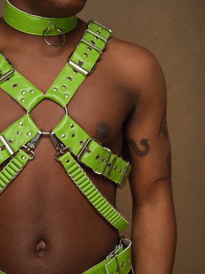 Image of 'X' Chest Harness