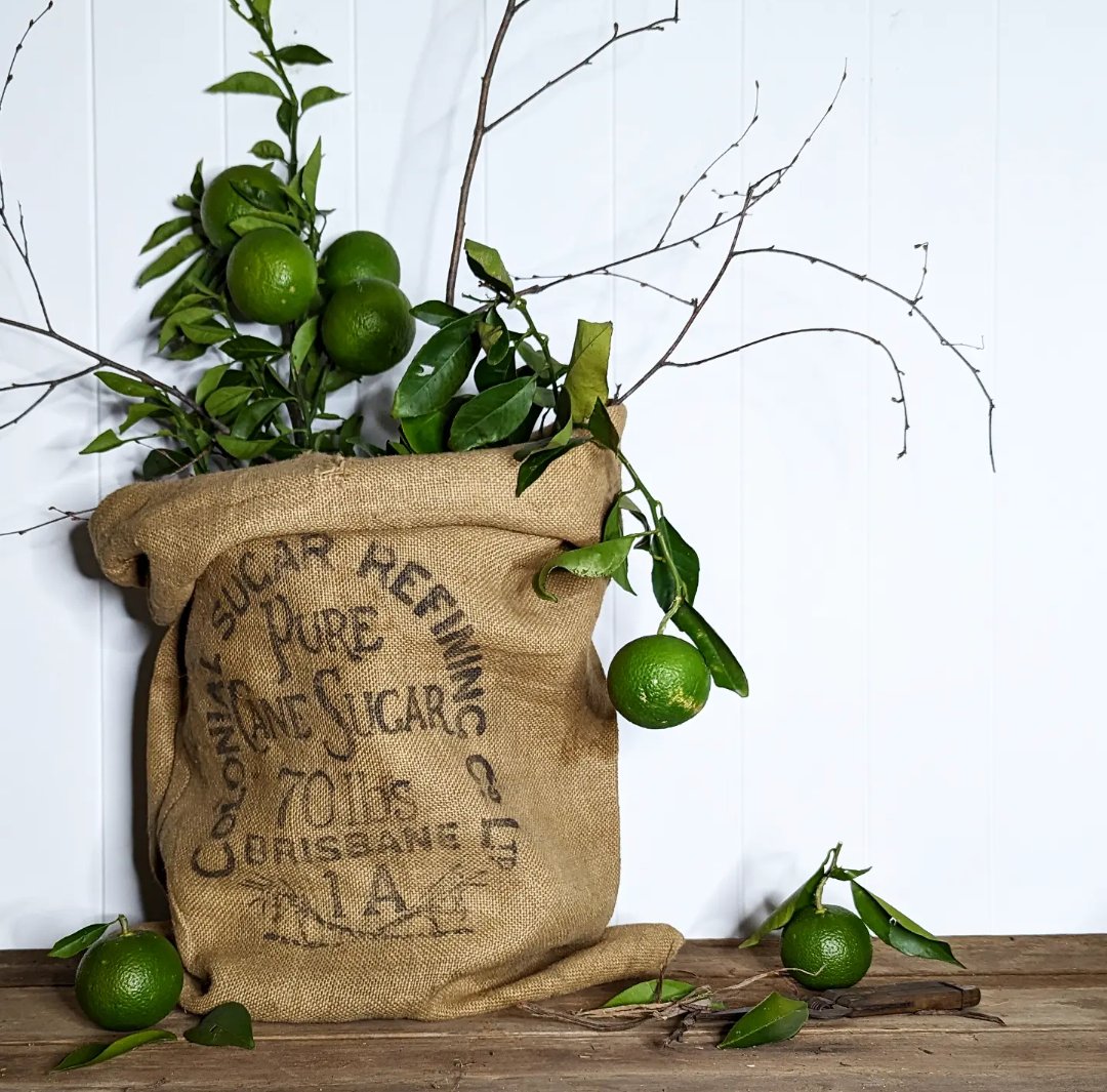 Image of Sugar Sacks