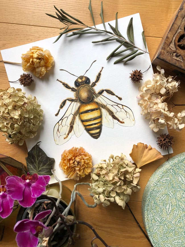 Honey bee fine art print