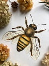 Honey bee fine art print