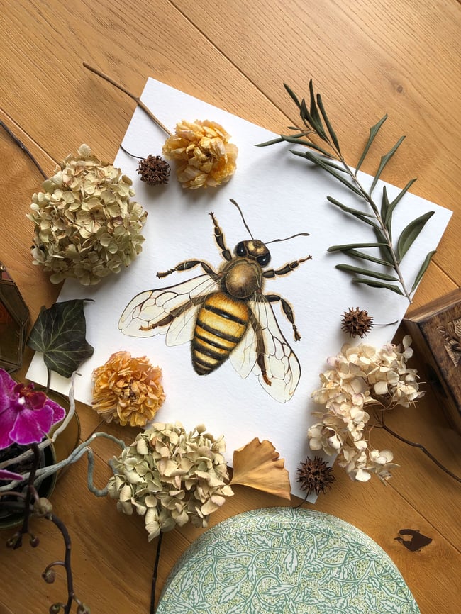 Honey bee fine art print