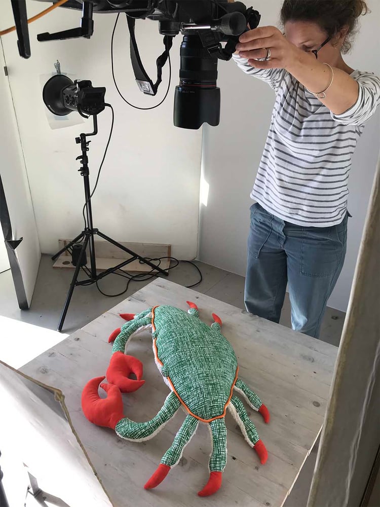 Image of Handmade Toy Crab With His Soft Shell  (Green)
