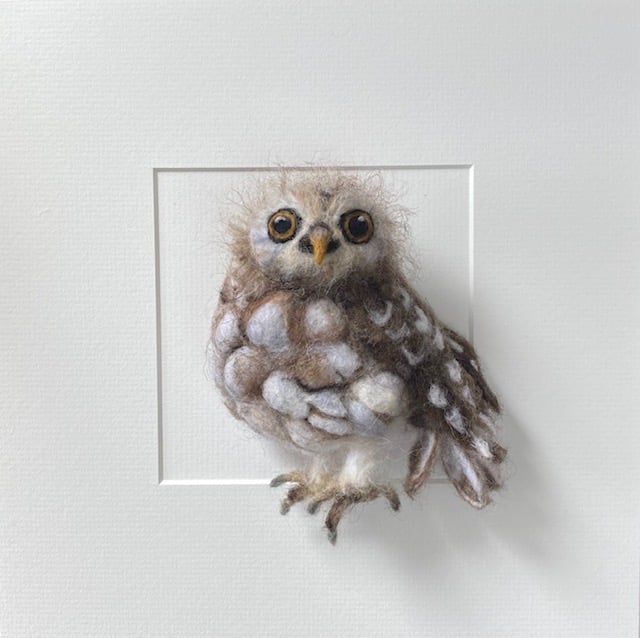 Image of Arnold Owl