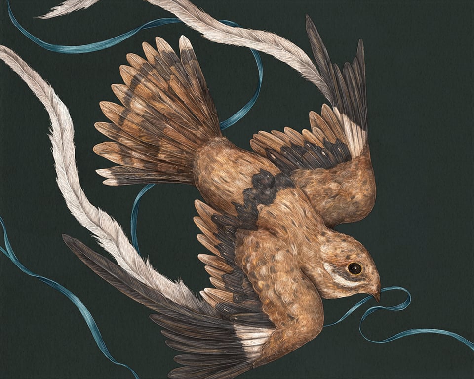 Products | Jessica Roux