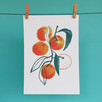 Image 1 of Tangerines - A5 PRINT