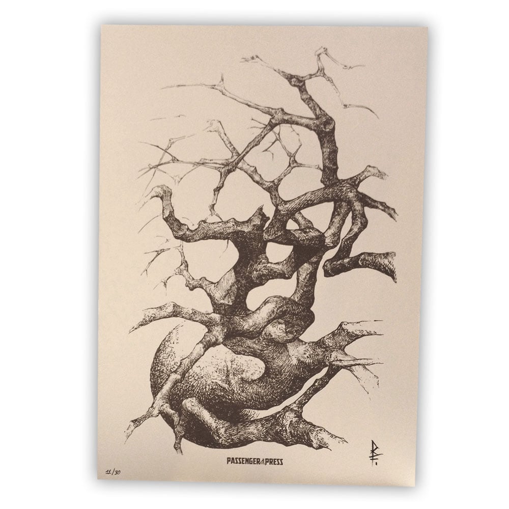 L'Albero Della Vita - The Tree Of Life by Riccardo Federici